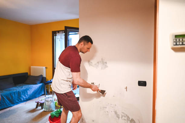 Best Professional Mold Removal  in Vineyards, FL