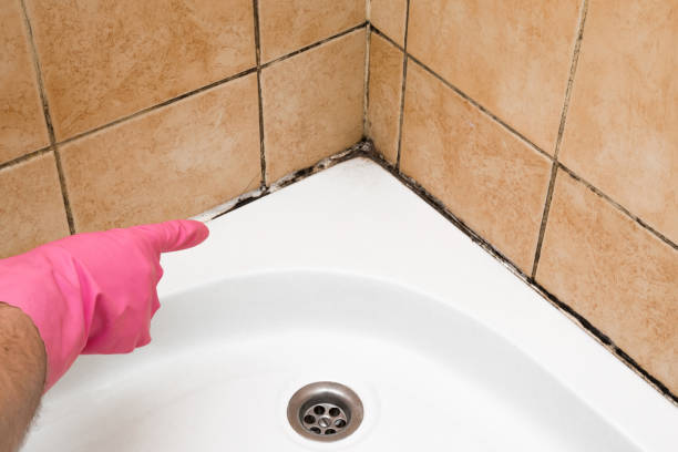 Best Mold Testing  in Vineyards, FL